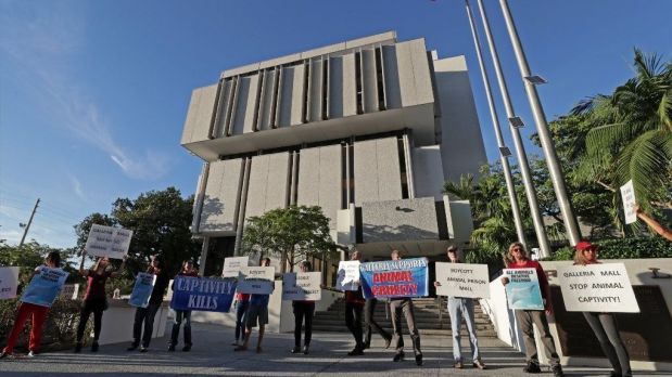Dozens of protesters gathered outside Fort Lauderdale City Hall Tuesday afternoon to object to SeaQuest Aquarium getting the approvals to open at the Galleria mall. Fort Lauderdale staff approved a final permit Tuesday morning.