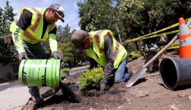 A new California law will ban watering decorative grass, even in non-drought years, starting Jan. 1