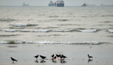 Commercial vessels lie anchored in the Strait of Hormuz off Bandar Abbas, Iran, Wednesday.