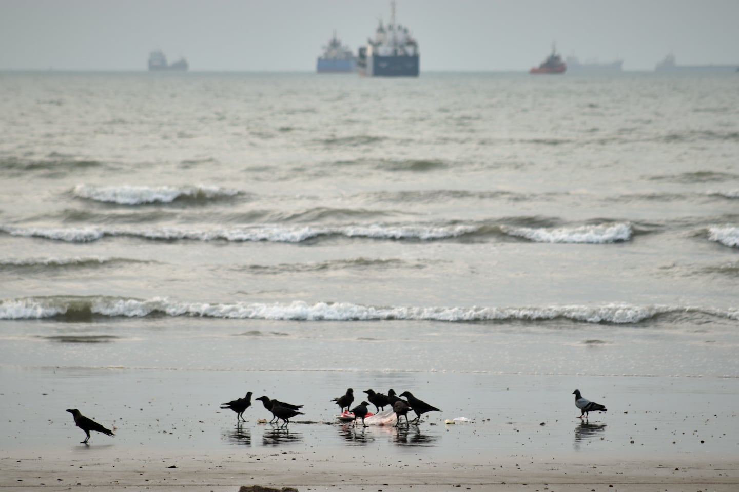 Commercial vessels lie anchored in the Strait of Hormuz off Bandar Abbas, Iran, Wednesday.