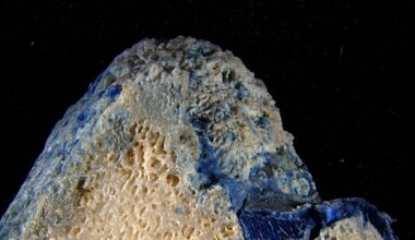 Plastic Is Melting Onto Corals