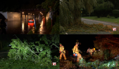 Storm damage on Thursday