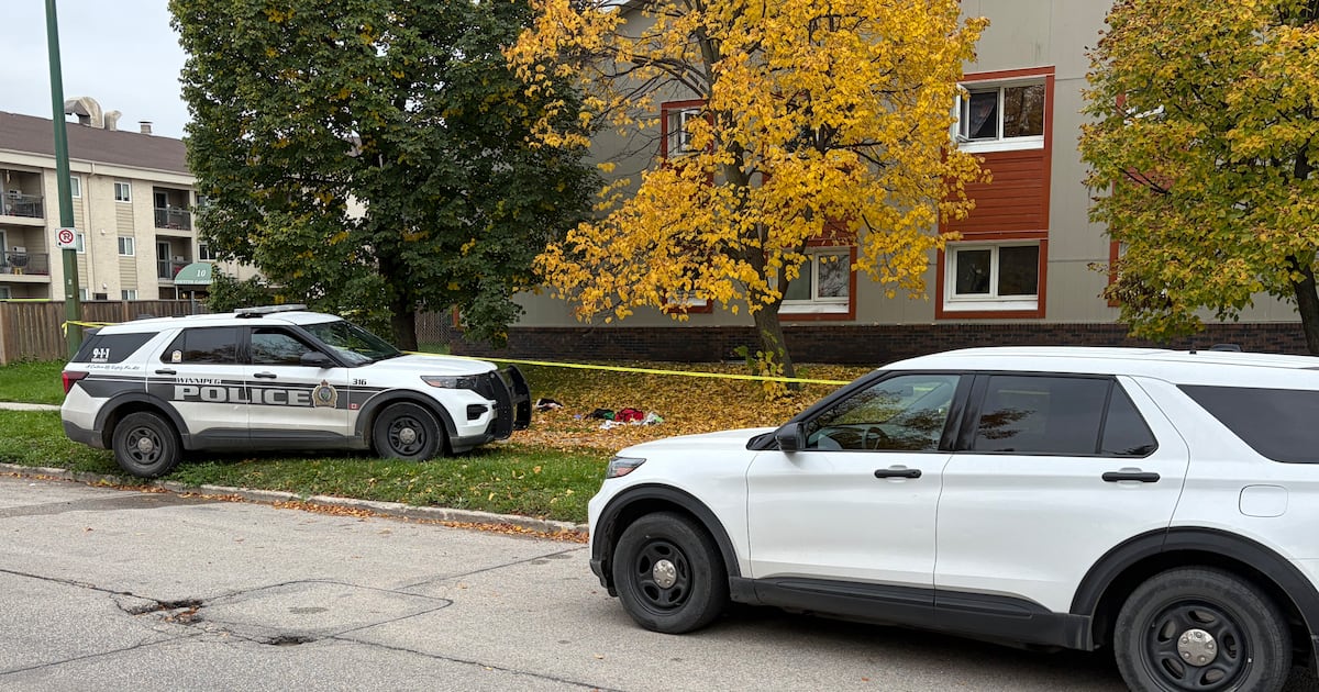Winnipeg police investigating three stabbings in less than 12 hours - CTV News