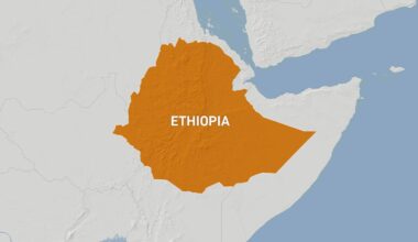 Ethiopian armed groups forge alliance against government | Conflict News