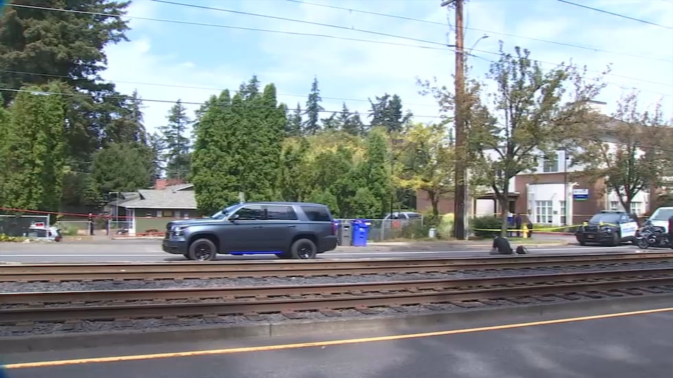 A child is dead after being hit by a car in Gresham along Burnside Street on Thursday morning,...