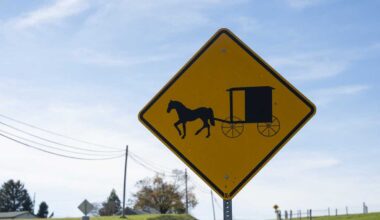 Two killed in Canton buggy crash, police say