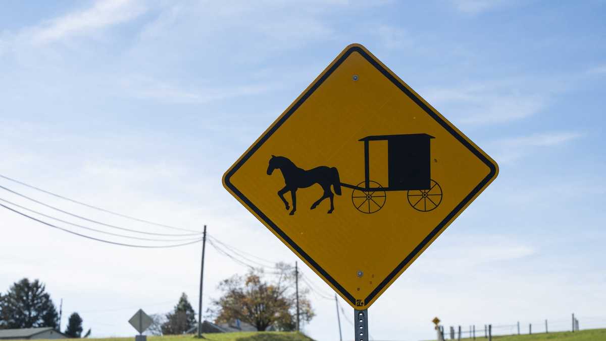 Two killed in Canton buggy crash, police say