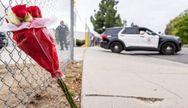 LA helicopter crash victims: Reporter Eliana Moreno, a soon-to-retire pilot and a young tourist