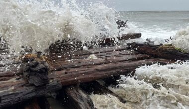 Possible 1884 shipwreck exposed by nor'easter on Nantucket: "It's still there"