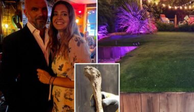 Discovery of ancient bones turns couple's kitchen renovation into 'crime scene'