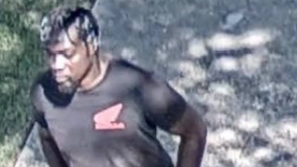 A still iamge from surveillance video shows a Black man with braided hair wearing a black t-shirt walking on a paved pathway in a park