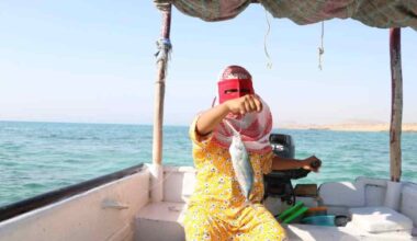 ‘We had an ordinary life’: Iran fisherwoman navigates uncertainty of war | Conflict News