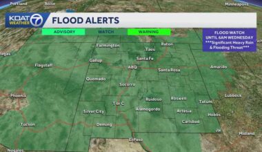 Flood watch issued for New Mexico as Hurricane Polo nears