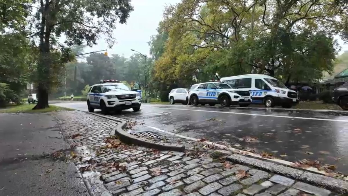 Woman found dead in Central Park on Sunday morning – NBC New York