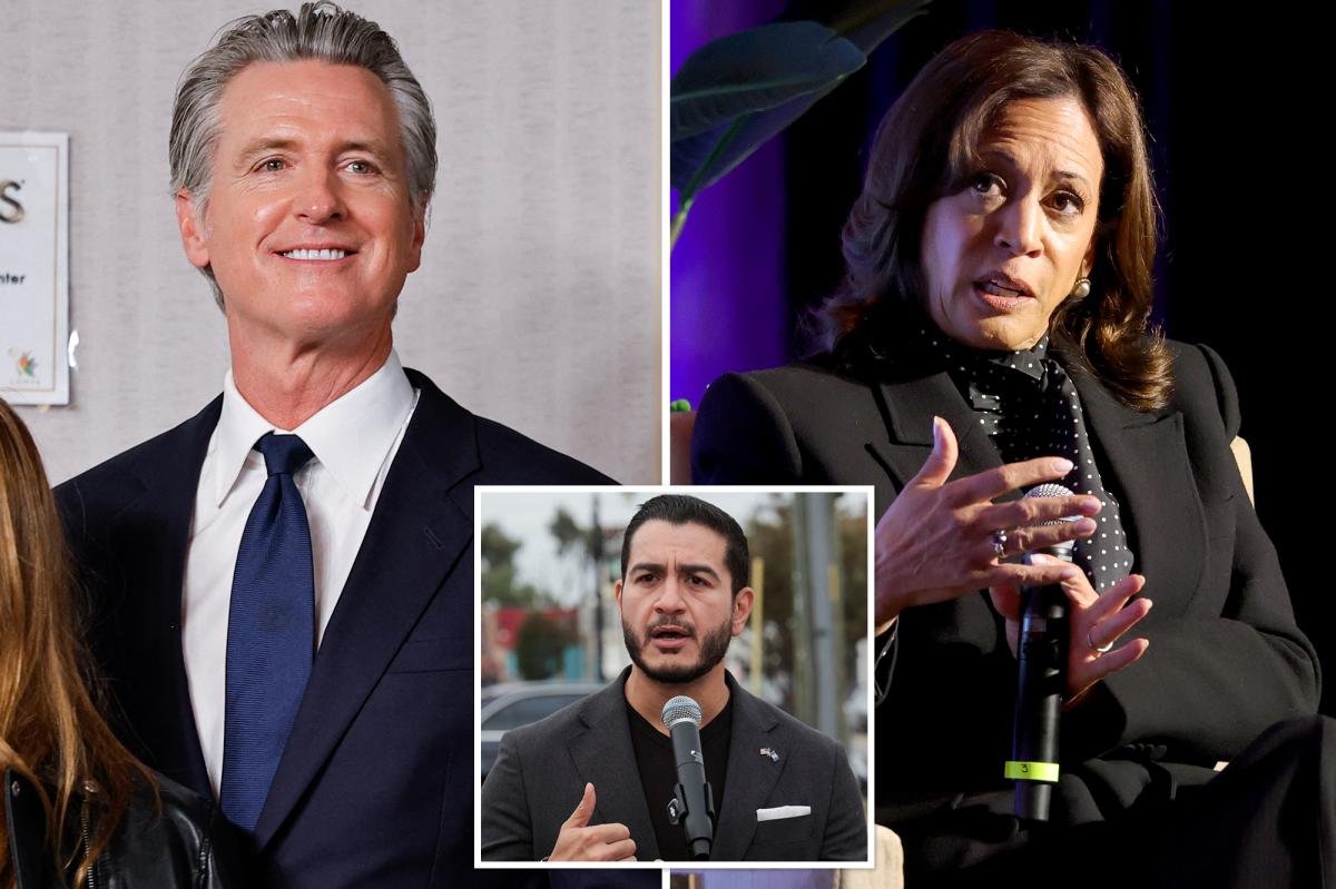 Kamala Harris avoided like the plague as Dems openly bash her: 'No thanks'