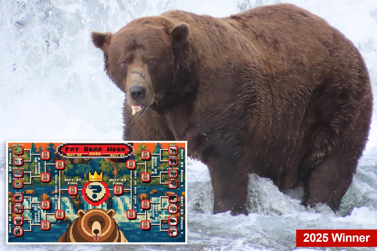 Fat Bear Week returns: meet the contenders and cast your vote