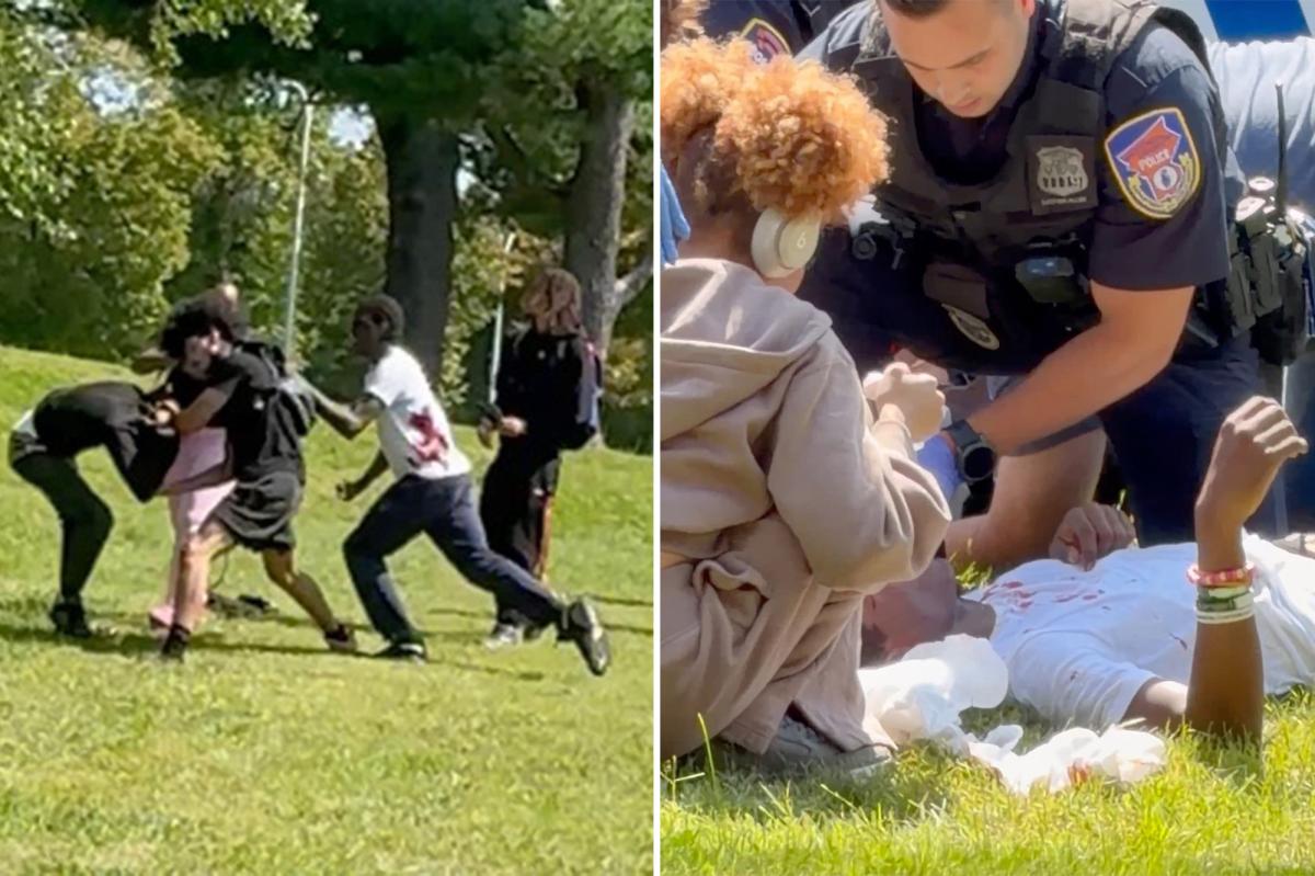 Disturbing video captures bloody Westchester college campus stabbing with 2 students injured
