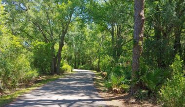 Care for Creation is a theological question