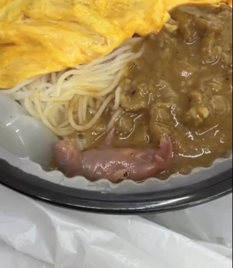 A newborn pink mouse in satay beef pasta with egg and noodles.