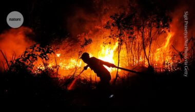 The worst El Niño in recorded history is brewing — here’s how governments must prepare
