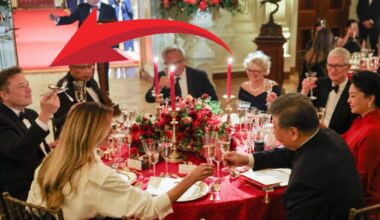 If You Ask Grok, Elon Musk Acted Like a Jackass at the Trump/Xi Dinner