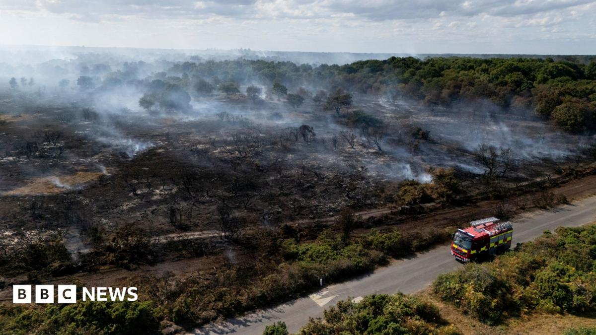 An aerial view taken with a drone shows smoke rising from wildfires near Dunwich Heath in Suffolk. A fire engine can be seen on the road next to a large area of blackened tree stumps
