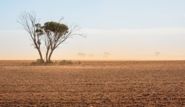 A record-shattering El Niño is almost here. Here’s what that means for the world’s weather