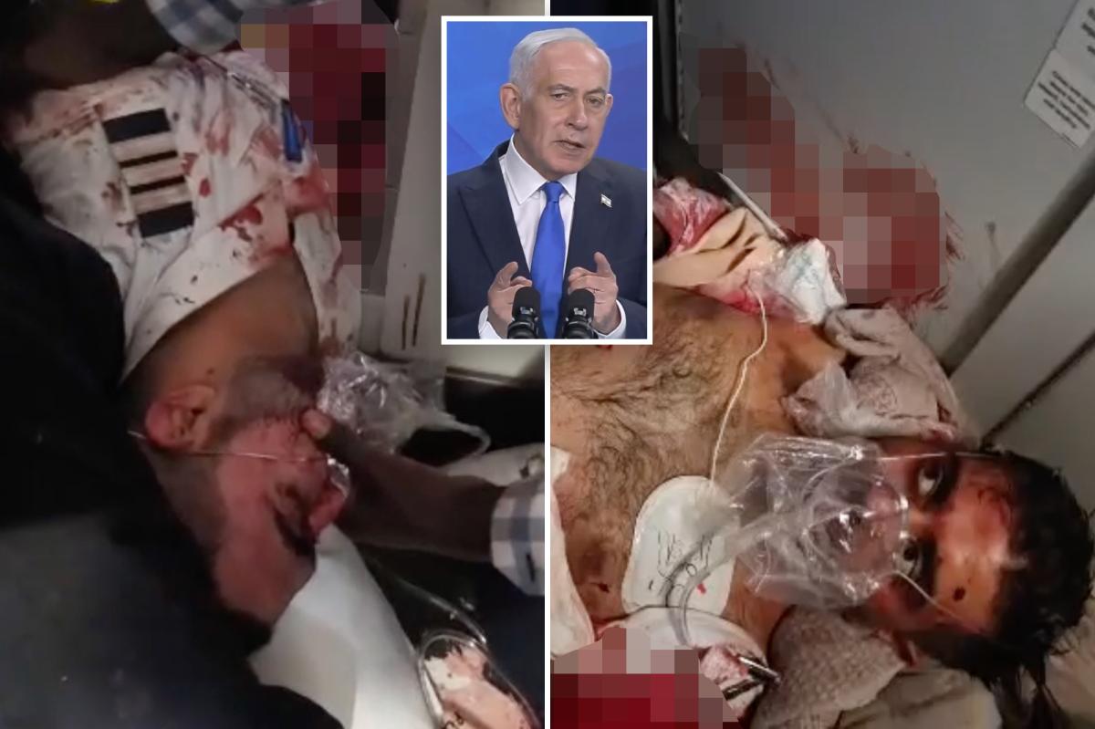 Israel confirms pilot arrested for attempting to crash plane in 'jihadist terrorist attack'