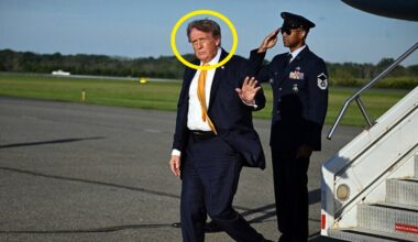 “Trump Is A Brunette!”: Donald Trump Just Unveiled A New Hairstyle And It’s A Doozy - BuzzFeed