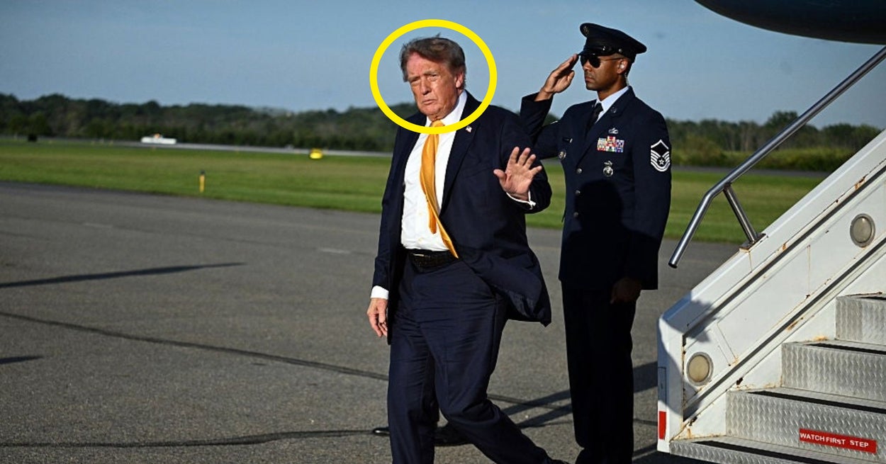 “Trump Is A Brunette!”: Donald Trump Just Unveiled A New Hairstyle And It’s A Doozy - BuzzFeed