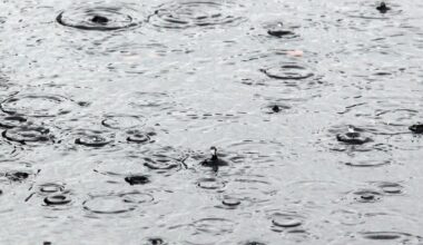 Intense storms bring tornado warnings, widespread damage and power outages to Pittsburgh area