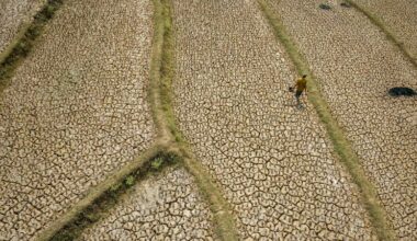 Super El Niño could cause 450,000 heat deaths by February