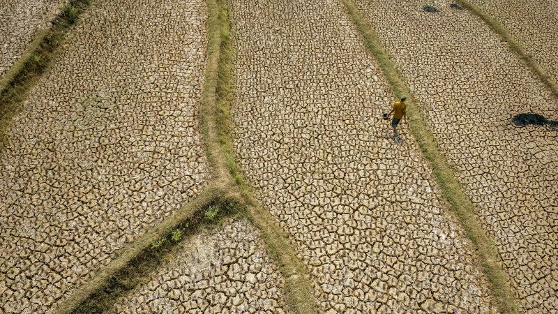 Super El Niño could cause 450,000 heat deaths by February
