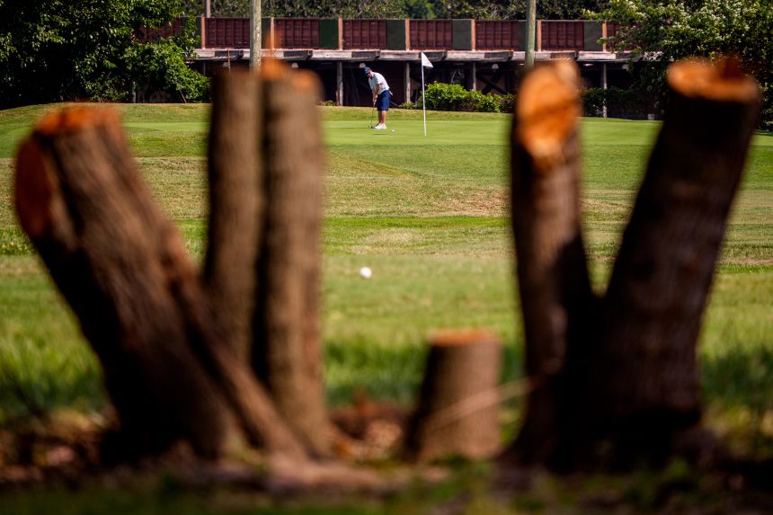 Tree stumps are visible as a golfer plays at East Potomac Golf Course in Washington, DC, on September 1, 2026.