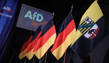 Saxony-Anhalt: Nazi-curious AfD won big, and the White House approves