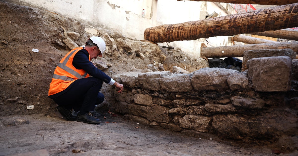 FRANCE-ARCHAEOLOGY-HISTORY-POLITICS