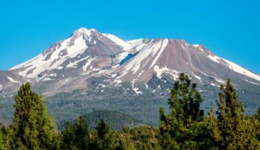 Hikers rescued after using Google Gemini for planning
