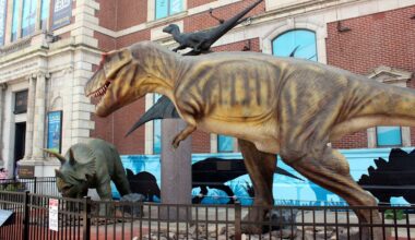 America's oldest natural history museum is closing today — but not without a fight