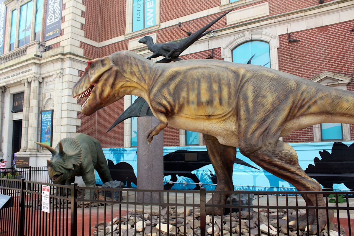 America's oldest natural history museum is closing today — but not without a fight
