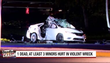 1 dead; several injured, including children, in Deerfield Beach crash, BSFR says