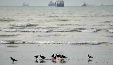 Iran strikes Kuwait in retaliation for US bombardments, and other Mideast news