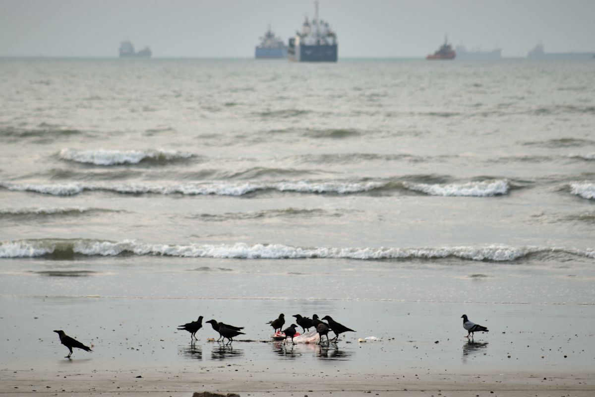 Iran strikes Kuwait in retaliation for US bombardments, and other Mideast news