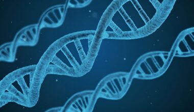 Scientist Says Human DNA Contains Clues of an Intelligent Creator