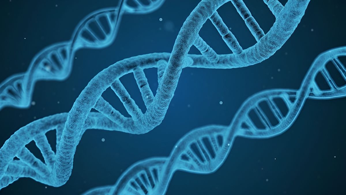 Scientist Says Human DNA Contains Clues of an Intelligent Creator
