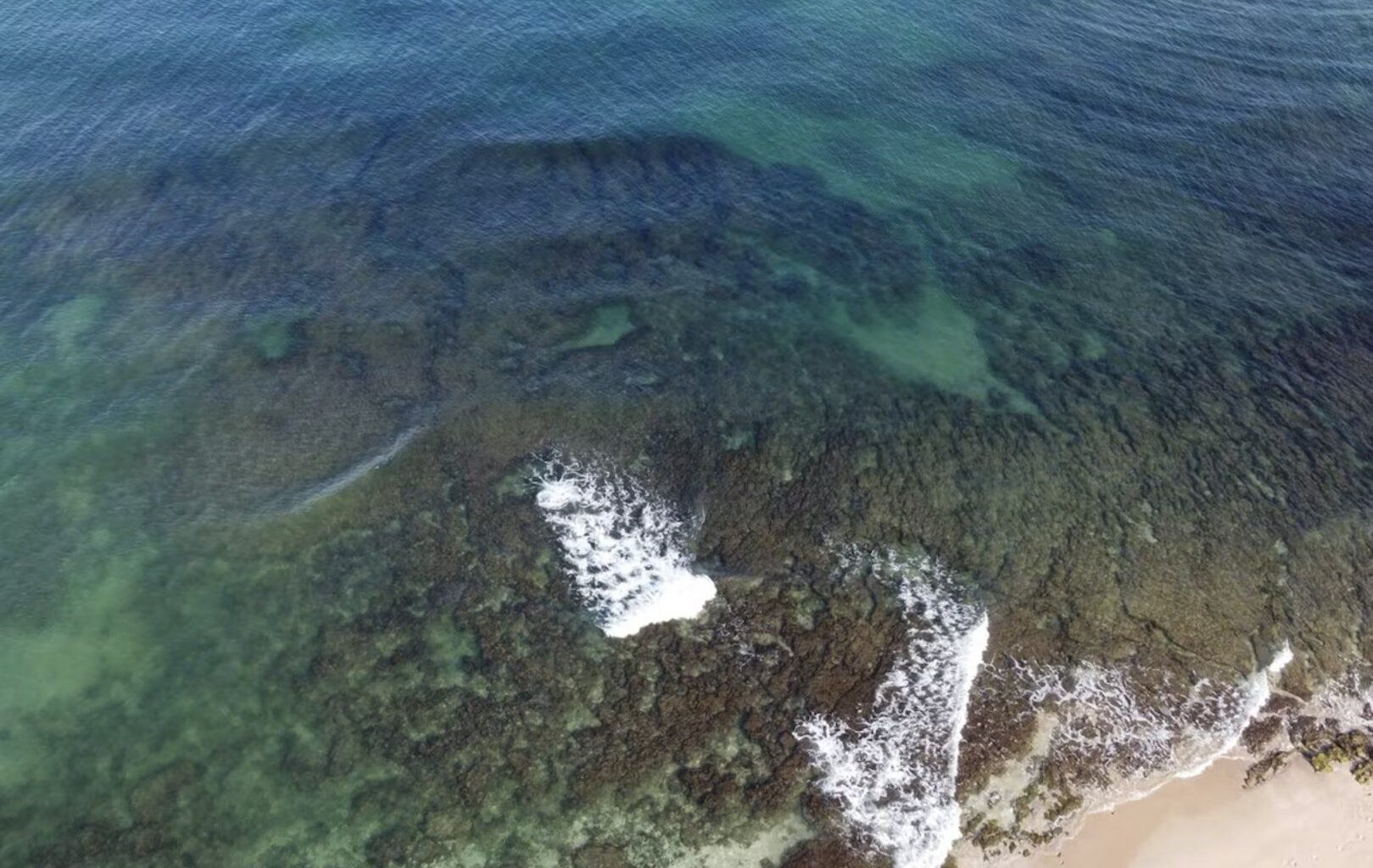Did Israel’s destruction of Gaza worsen its water crisis? | Newsfeed