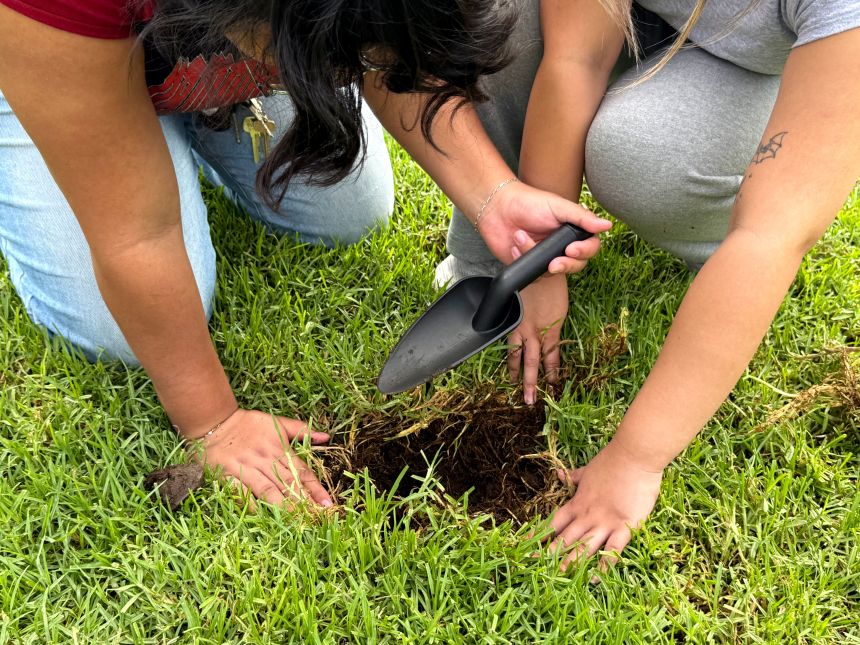 Researchers gather soil samples from a park in Ladera Ranch on September 13, 2026.
