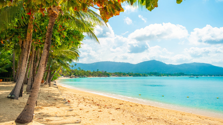 The golden sand of Maenam Beach on Koh Samui