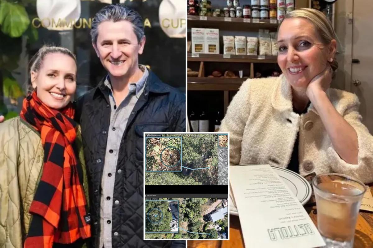 New clues in search for missing California coffee shop owner Amy Hillyard 6 months after her disappearance