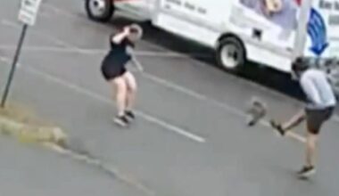 New Hampshire neighborhood terrorized by aggressive wild animal after three attacks, police on lookout