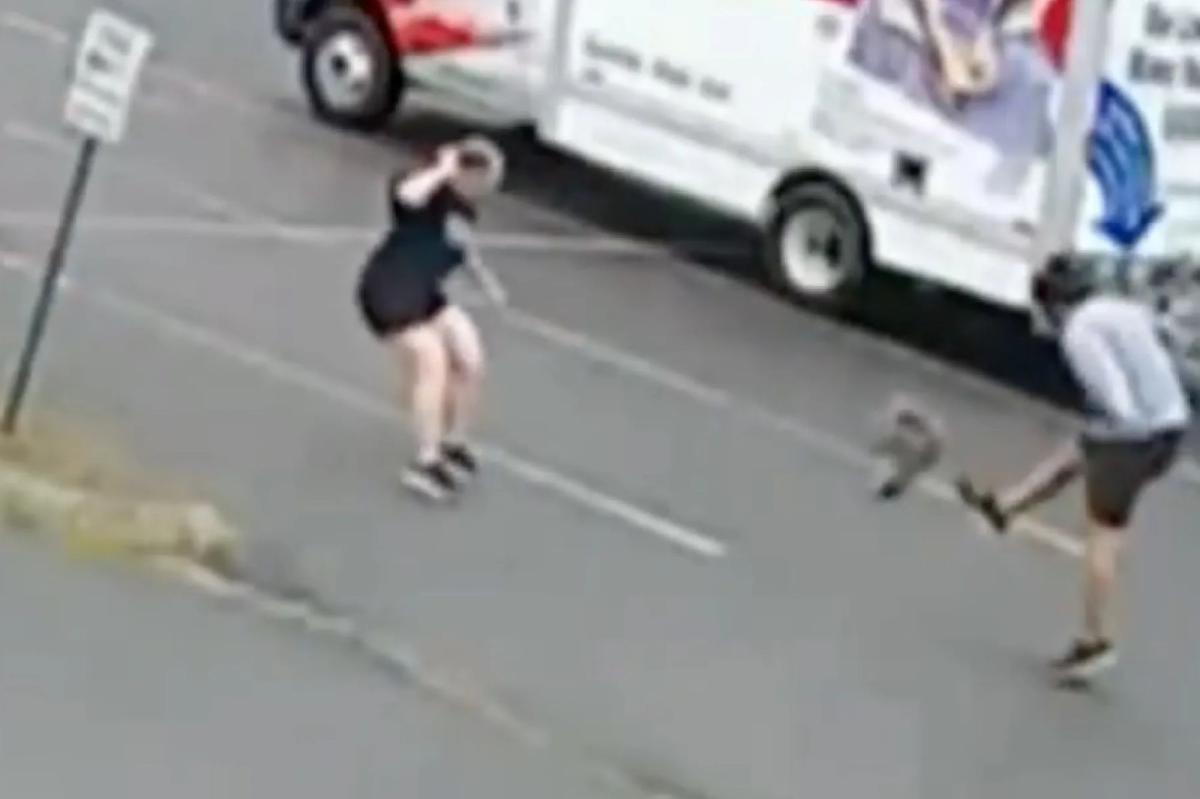 New Hampshire neighborhood terrorized by aggressive wild animal after three attacks, police on lookout